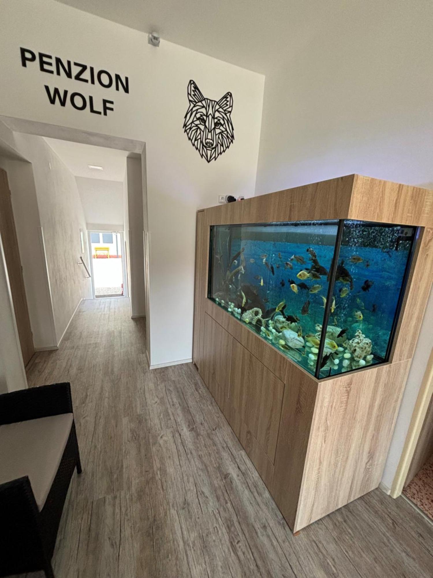 Penzion A Autokemp Wolf Česká Skalice المظهر الخارجي الصورة